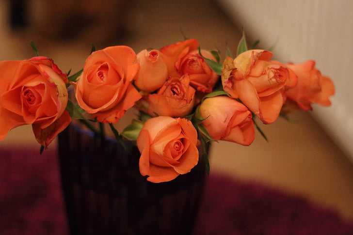 Rose, fleur, orange, corsage