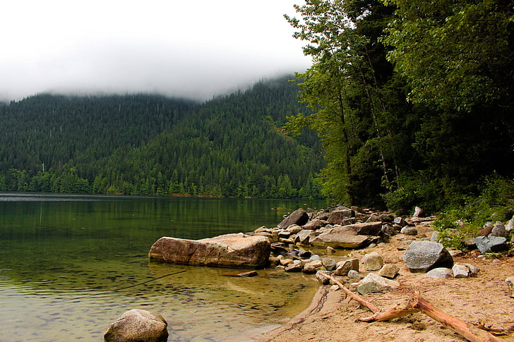 Danau, alam, Cantik, pemandangan, air, hijau, hutan