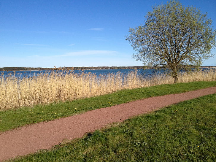 naturen, sökväg, landskap, Åland, landsbygdens scen, jordbruk, blå