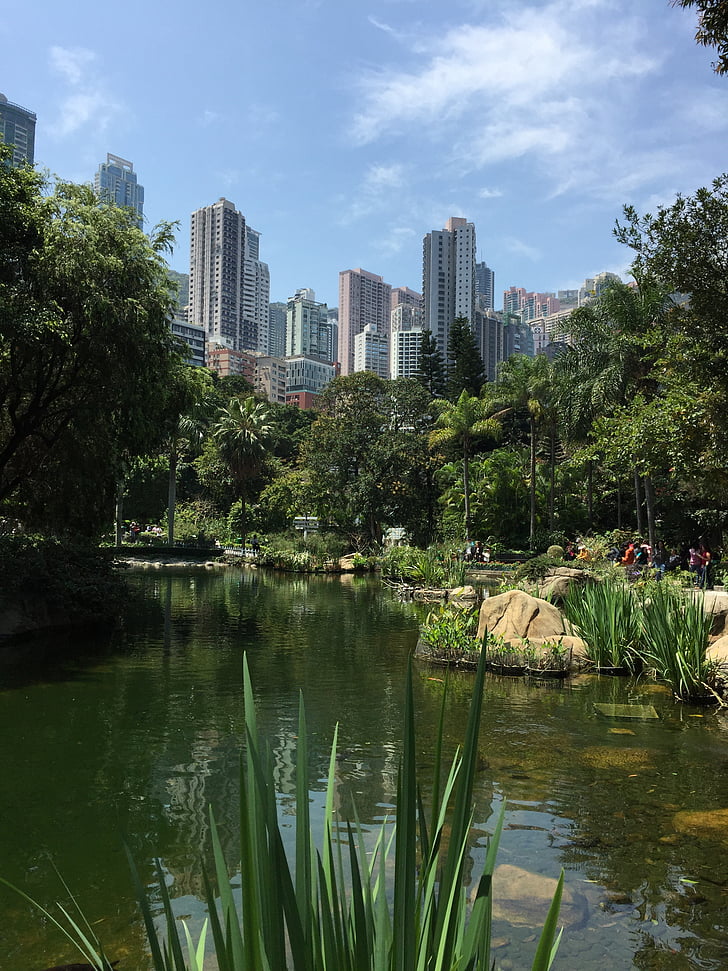 Хонконг, парк, езерото, небостъргач, Градина, градски пейзаж, градски сцена