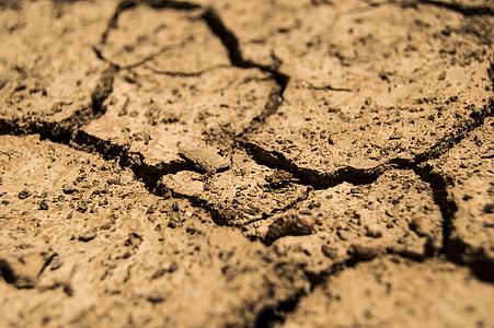 l'aridesa, marró, sequera, sec, terra, sòl