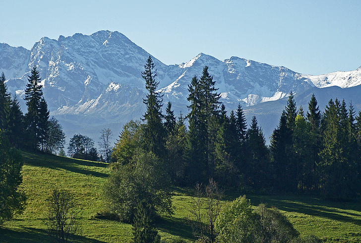 Tatrai, Aukštuosiuose Tatruose, pieva, miško, kraštovaizdžio, Gamta, medis