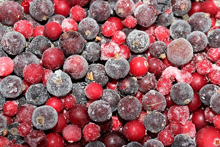 Berry, brusnice, ríbezle, červená, vitamíny, pozadia, Veda