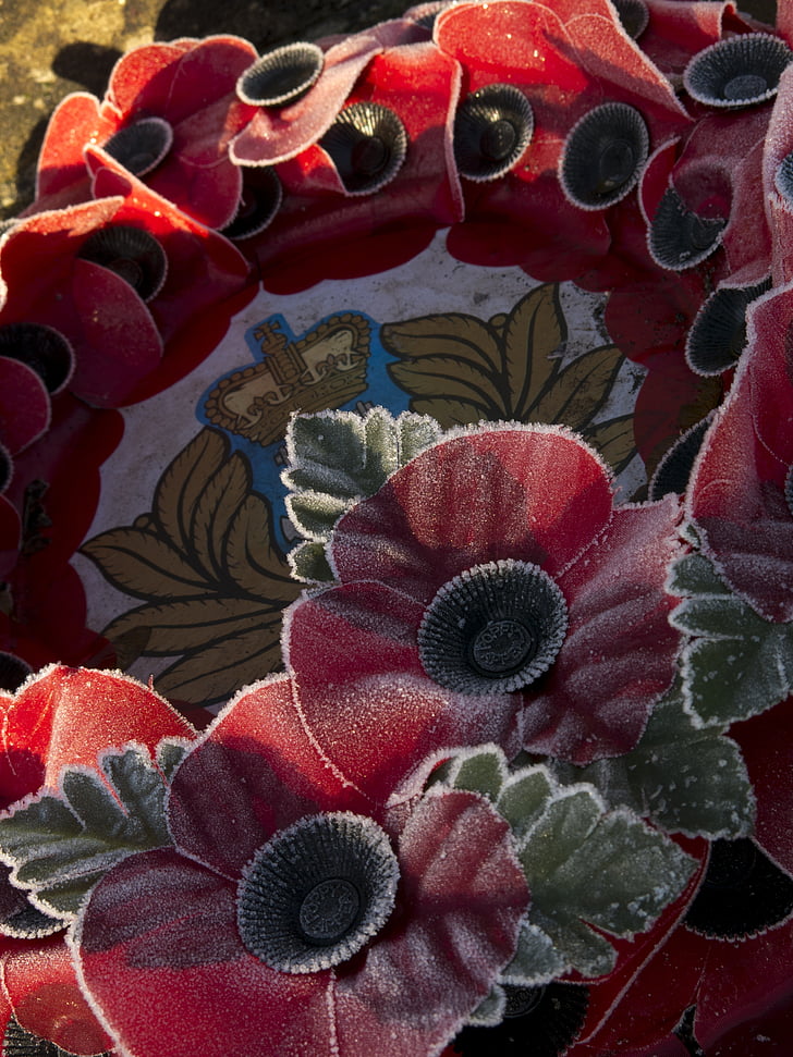 wreath, poppy, war, remembrance, frost, british legion