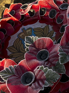 coroa de flores, Papoila, guerra, lembrança, geada, Legião britânica