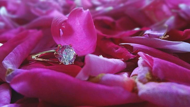 nhẫn, đám cưới, ánh sáng, mềm mại, Hoa hồng, vàng, tinh thể
