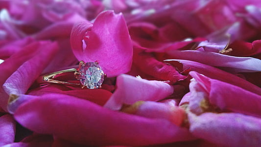 δαχτυλίδι, Γάμος, φως, μαλακό, τριαντάφυλλα, χρυσό, Κρύσταλλο