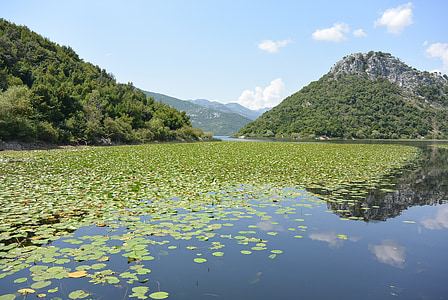 Skadarské jezero, Černá Hora, cesta, plavba, voda, hory, řeka