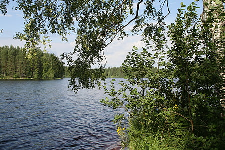 Finsko, Hodek, jezero, léto, krajina, strom