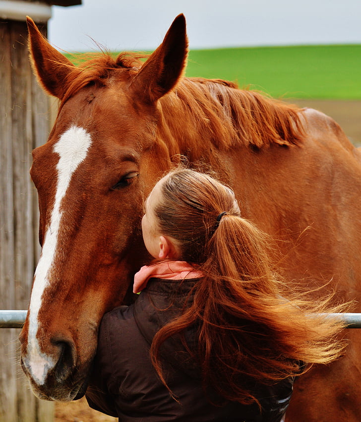 caballo, beso, amor por los animales, sentirse como en casa, chica, mujer, mimoso