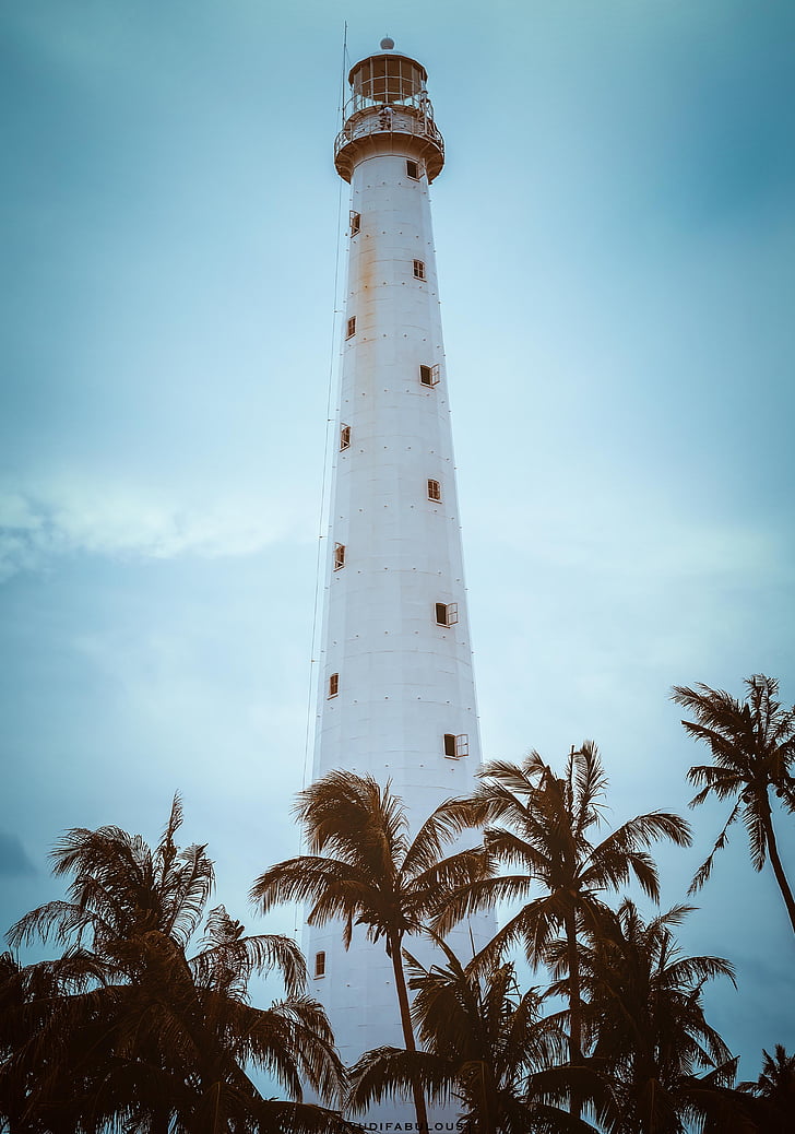 Lighthouse, träd, stranden, blå, segling, semester, resor