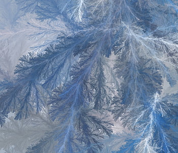 Frost, sương mù, frosted, băng, băng giá, đá, lạnh