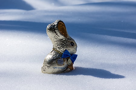 sneh, Veľkonočné, Veľkonočný zajačik, jar, snehové kryštály, svetlo, reflexie