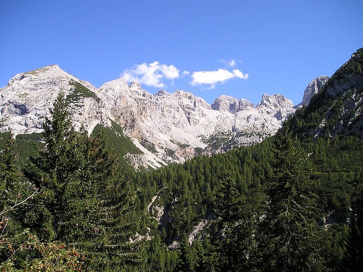 hory, alpské, Brenta, Itálie, Hora, Příroda, vrchol hory