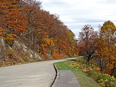 Parkway, Virginia, natura, paesaggio, scenico, Appalachian, paesaggio
