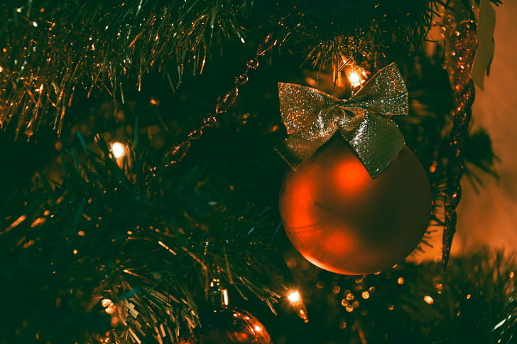 Stäng, Foto, belyst, jul, träd, röd, julgranskula