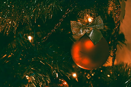 fermer, photo, éclairé, Christmas, arbre, rouge, Bauble