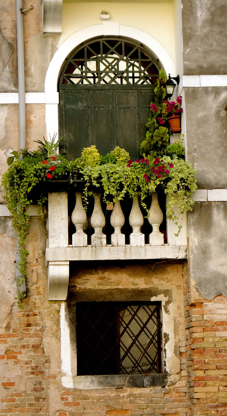 window, venetian, flowers