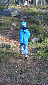 Αγόρι, δάσος, μικρό αγόρι, δέντρα, βρέφος, ιδανικά για παιδιά, τρέξιμο