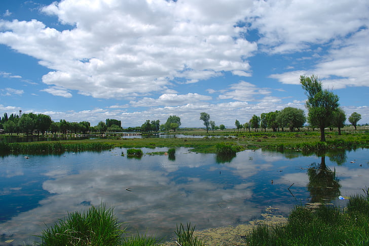 pemandangan, refleksi, cahaya, alam, pohon, Danau, musim panas