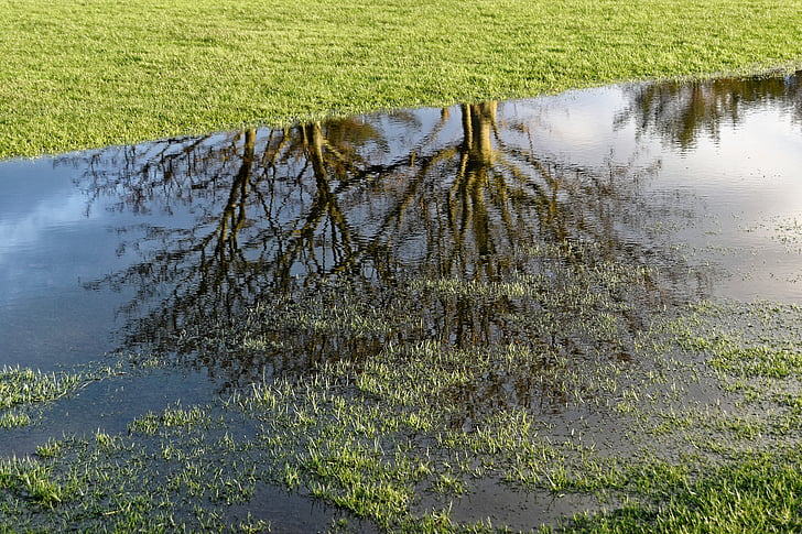 golf, golf course flooding, water, reflection, course, landscape, flood