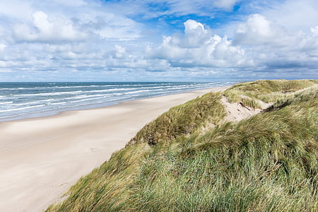 jutland, denmark, beach, sea, dunes, dune landscape, north sea