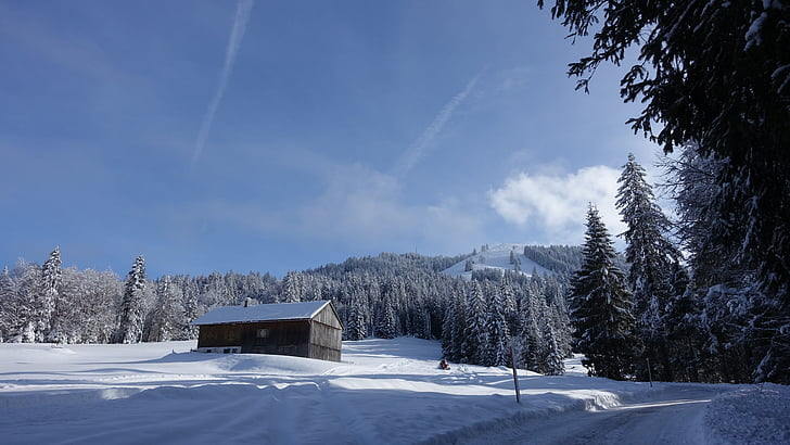 winter, ski lodge, snow, sun, hut, wintry, snowy
