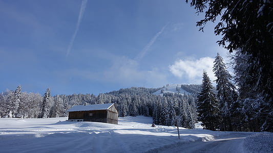 冬, スキー場ロッジ, 雪, 太陽, 小屋, 冬, 雪に覆われました。