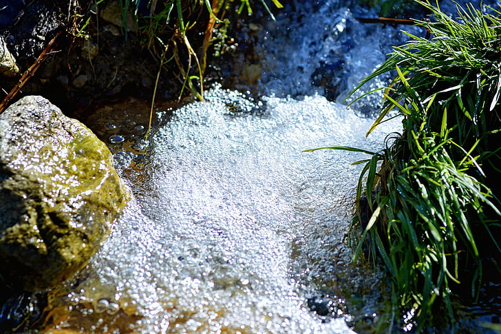 bach, water, waters, nature, air bubbles, close, refreshment