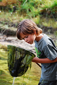 fish, river, boy, water, landscape, fishnet, child