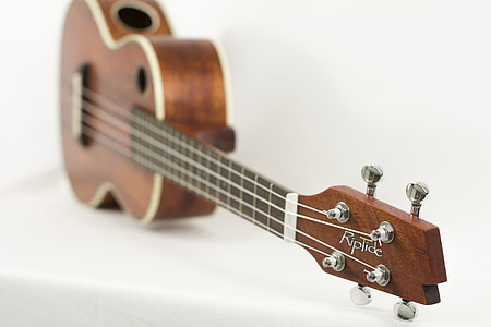 ukulele, nástroj, Hudba, reťazec, akustické, drevo, hudobník