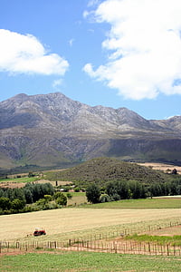 Lembah, traktor, pastoral, Karoo, Cape, pertanian, pedesaan