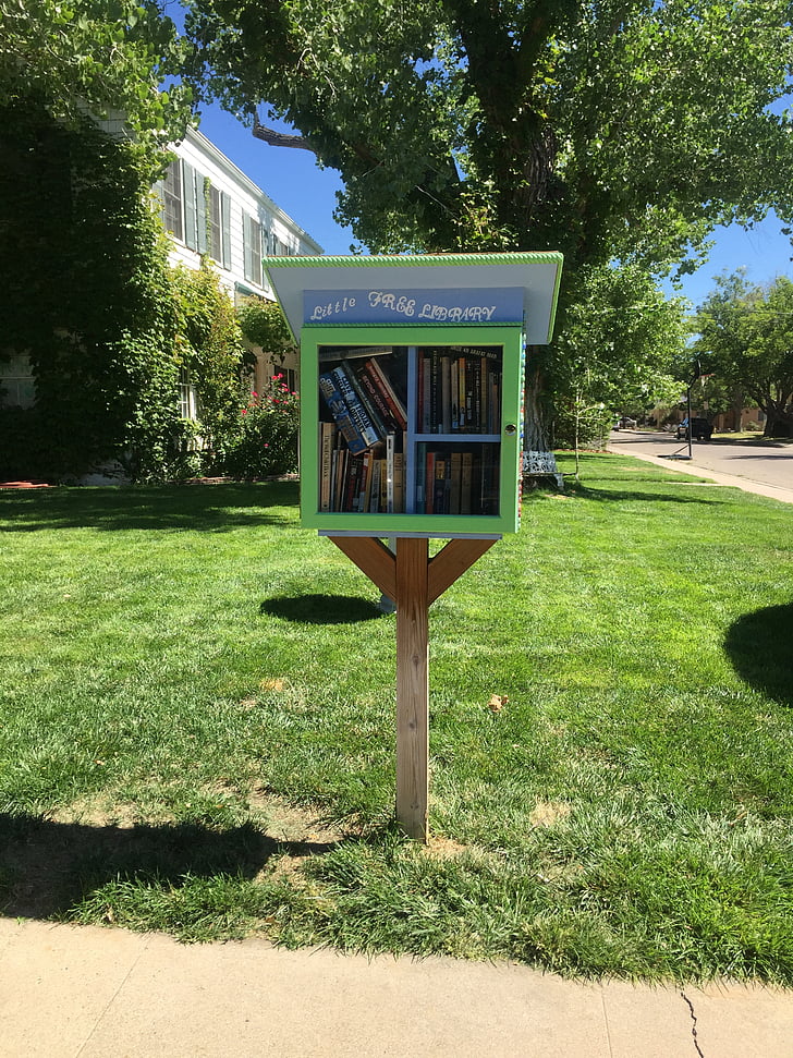 little  library, rotary, books