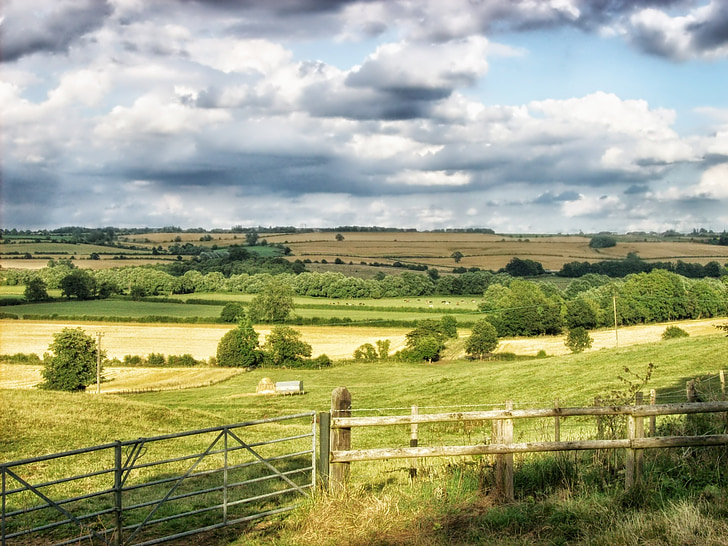 Middle aston, Anglia, krajobraz, sceniczny, niebo, chmury, drzewa