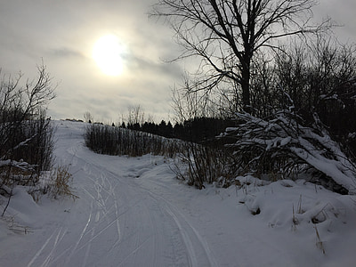 neve, XC sci, sci di fondo, sci di fondo, tramonto di inverno, scena della neve, sentiero invernale
