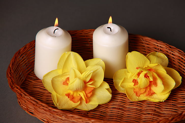 candle, flower, decoration, deco, plant, romantic, wellness