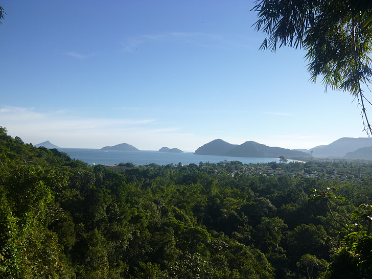 landscape, nature, trees