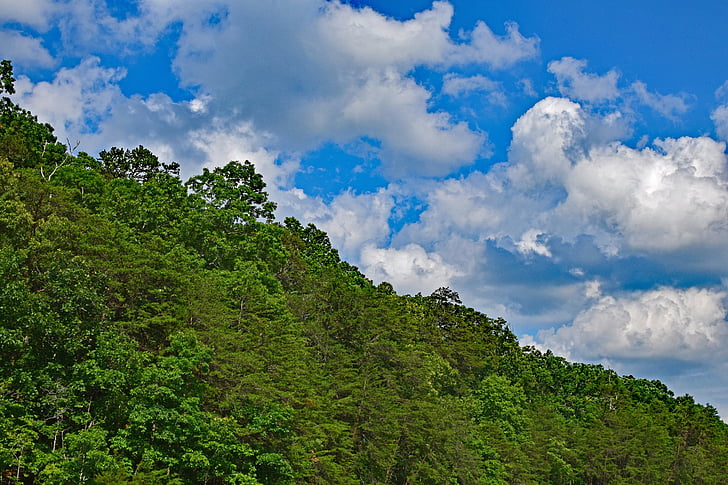куп облаци над дърветата, Тенеси, САЩ, дървета, растителна, облаците, река