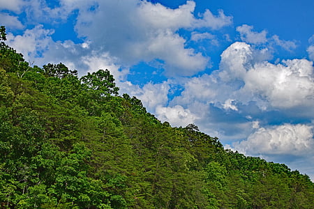 cumulusskyer over trærne, Tennessee, USA, trær, anlegget, skyer, elven