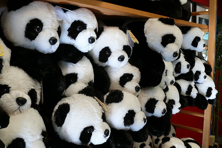Zoo, San diego, djur, plysch, leksak, Panda