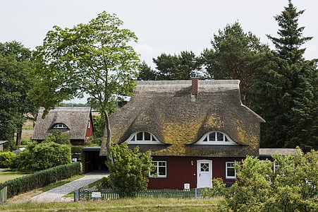 sostre de palla, canya, casa, nord d'Alemanya