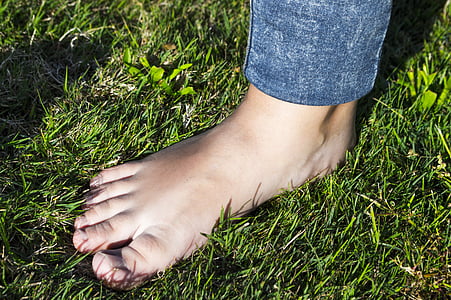 발, 잔디, 손가락, 맨발, 맨발로 산책, 인간의 몸, 해부학