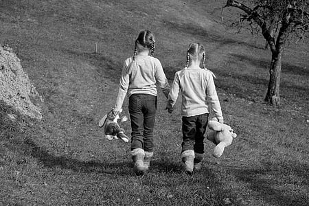 bērniem, pļavas, prom, meitene, mīkstās rotaļlietas, draudzība, staigāt