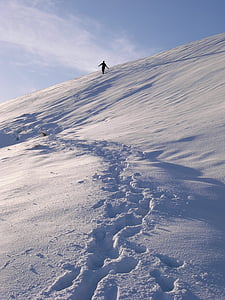 snow, footprints, alone, nature, winter, cold, landscape
