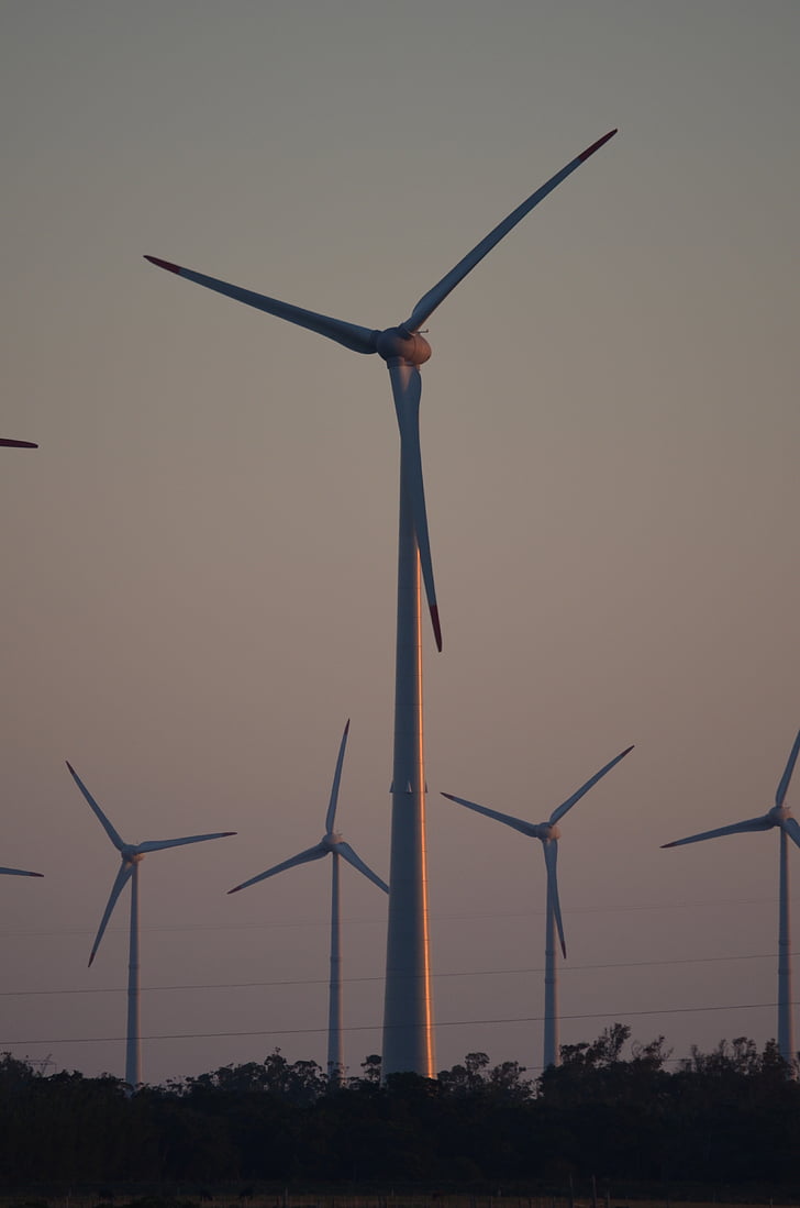 Větrná farma, prostředí, vítr, turbína, energii, zvaný Weathervane