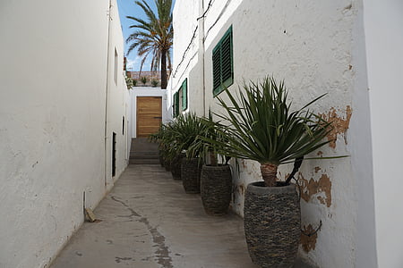 sant joan, ibiza, alley, architecture, street, town, house