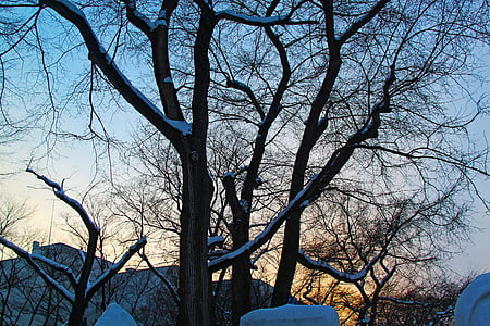 Sunset, Kaunis, külm, talvel, õhtul, Park, Odori park