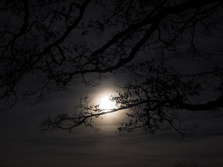 Luna, al chiaro di luna, Luna piena, spettrale, tramonto, scuro, notte