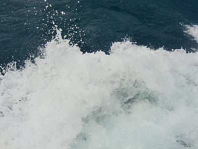 mar, ola, espuma de, cabeza, agua, salvaje, Croacia