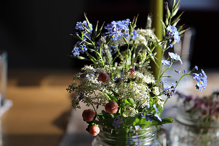 plant, deco, close, bouquet, vase, decoration, flower